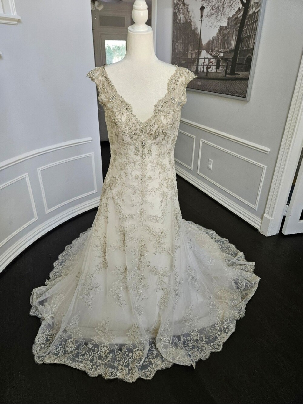 Maggie Sottero Ivory Lace A-Line Wedding Dress - Picture 4 of 11